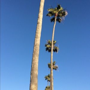 Meet your Posher, Jake